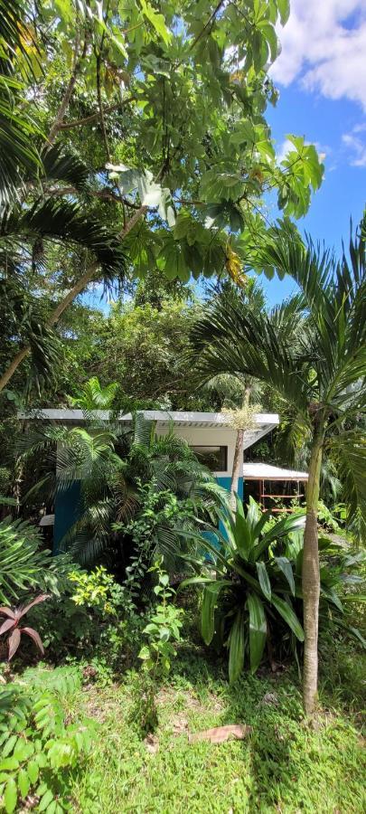 Villa Martina Palmgarden Sámara Dış mekan fotoğraf