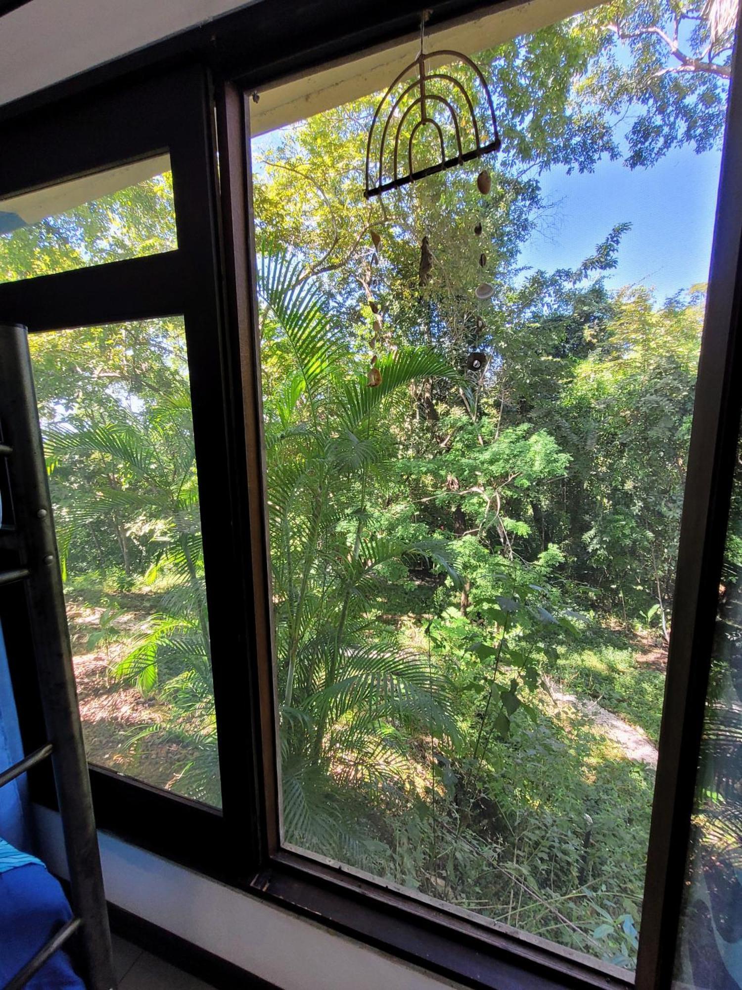 Villa Martina Palmgarden Sámara Dış mekan fotoğraf