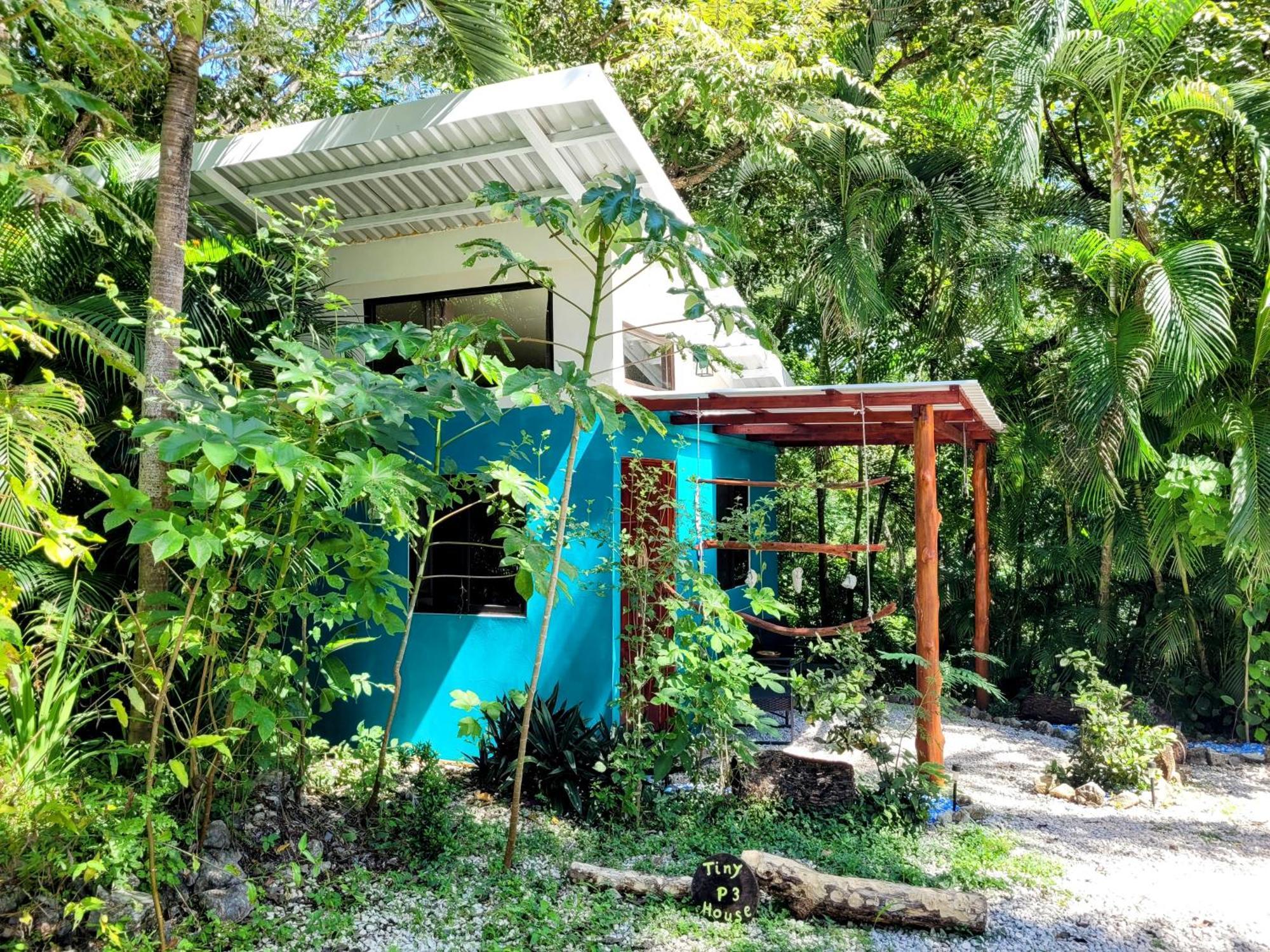 Villa Martina Palmgarden Sámara Oda fotoğraf