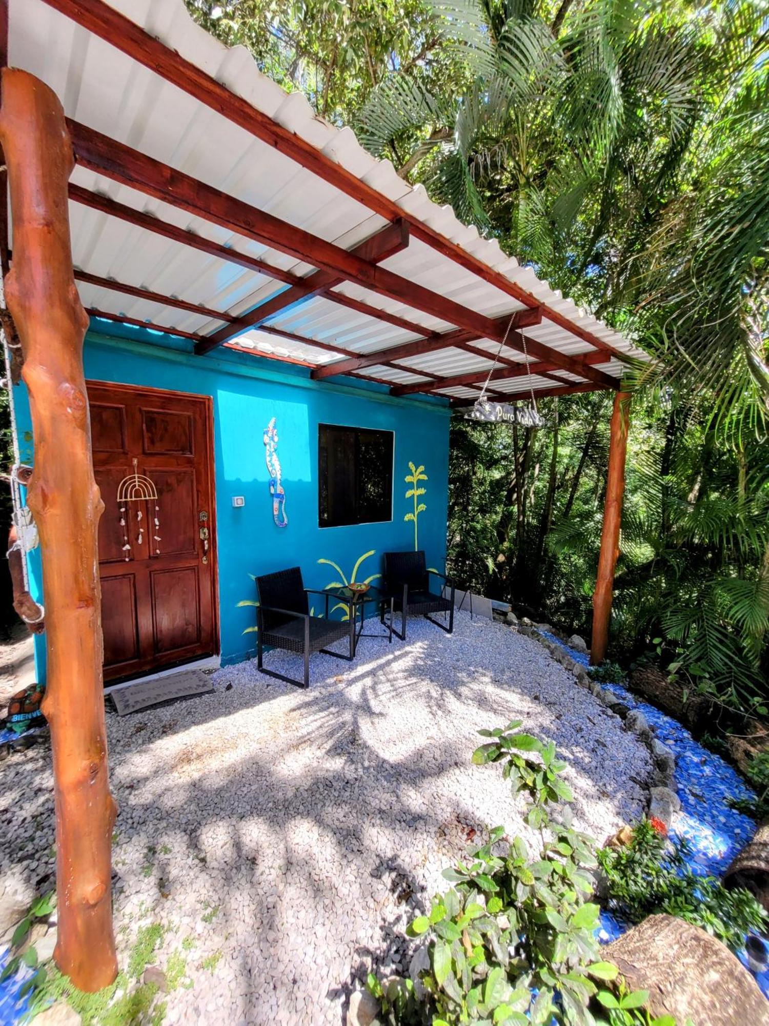 Villa Martina Palmgarden Sámara Oda fotoğraf